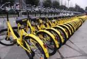 ofo海外版图大收缩：登陆印度将满一年，小黄车业务还给印度人